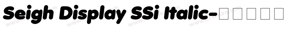 Seigh Display SSi Italic字体转换